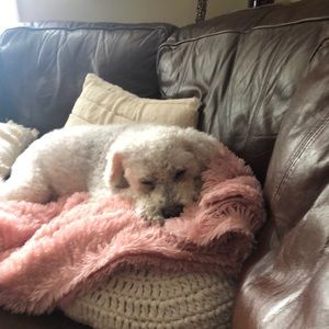 Meet your Posher, Tracy